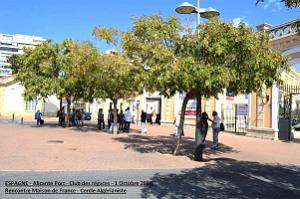 Alicante 031